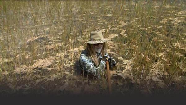 Escape from the Everglades.