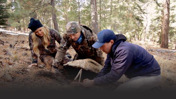 Three people looking at a trap in the woods